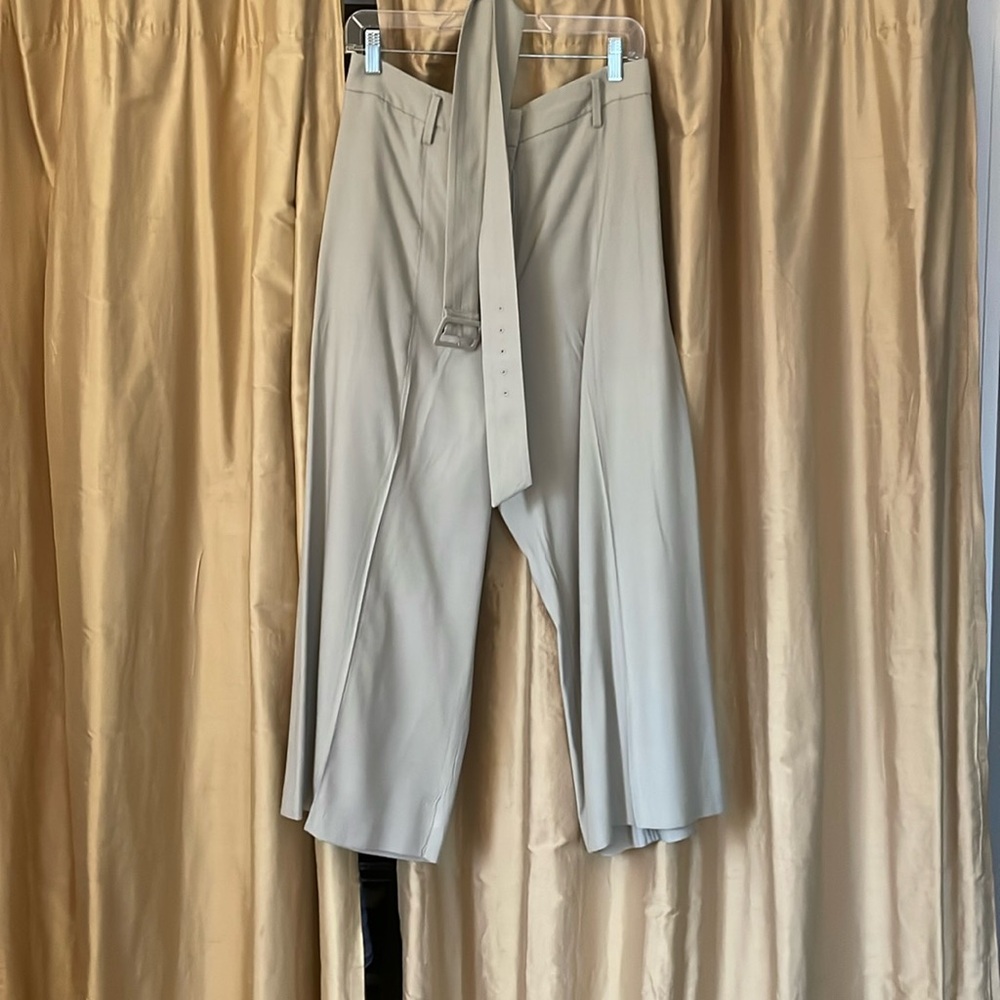 Sage Dress Pants - Ann Taylor